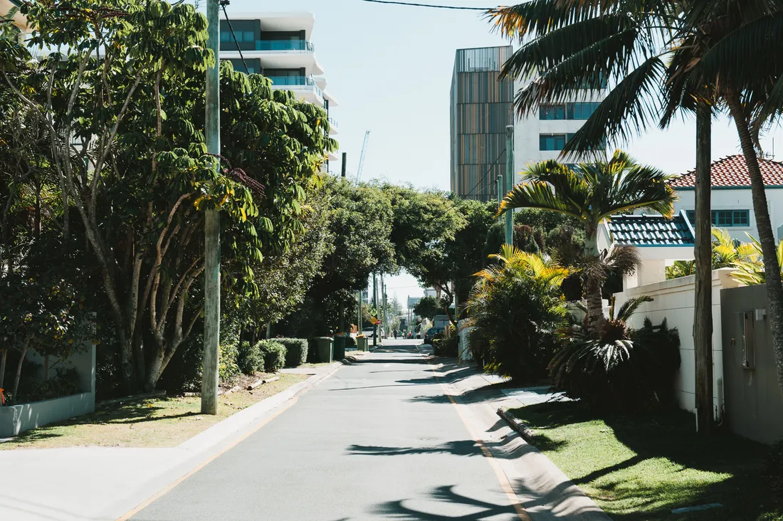 A quiet suburban street in south-east Queensland lined with trees